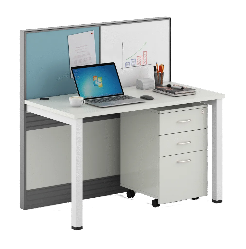 Partition Based Workstation