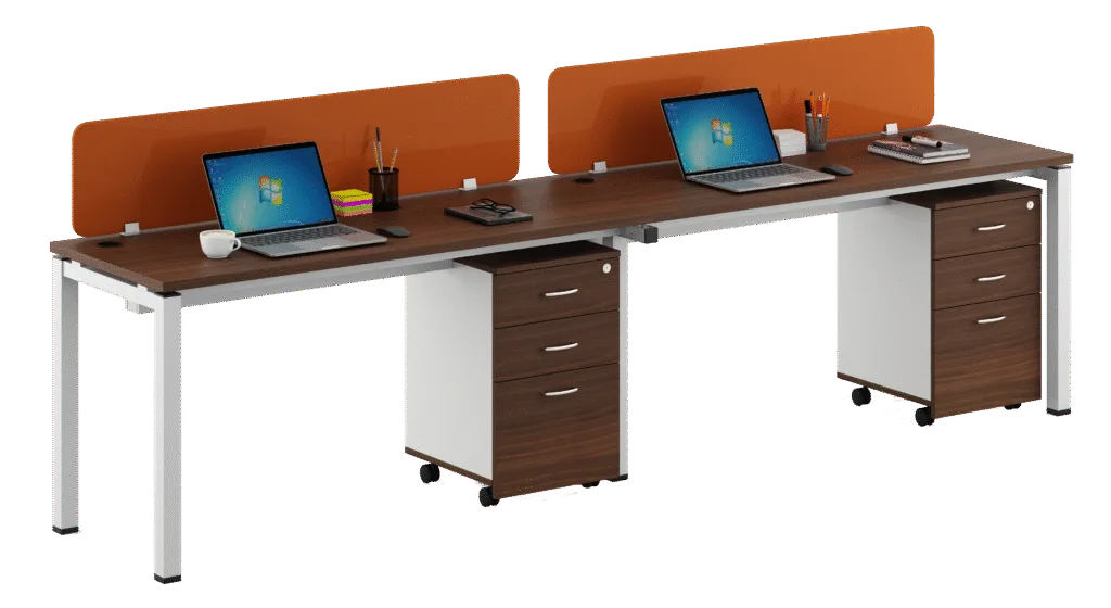 Side by Side Workstation​